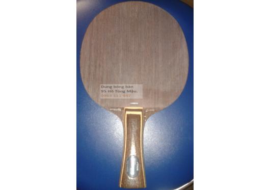 Vợt Bóng Bàn Stiga cũ_đã bán